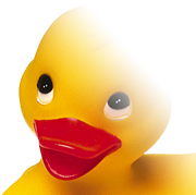 Anka(png24 genomskinlig)