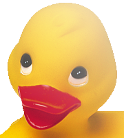 Anka(png24 genomskinlig)