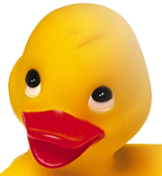 anka (png24 utskuren)