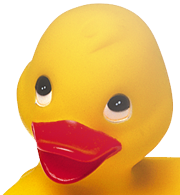 Anka(png24 genomskinlig)