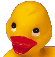 Anka (png 8 utskuren)