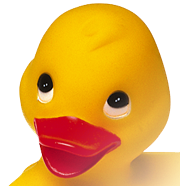 Anka (png24 genomskinlig)