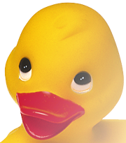 Anka(png24 genomskinlig)